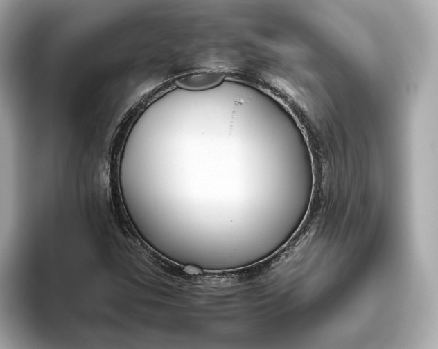 X0000093511307200711021020