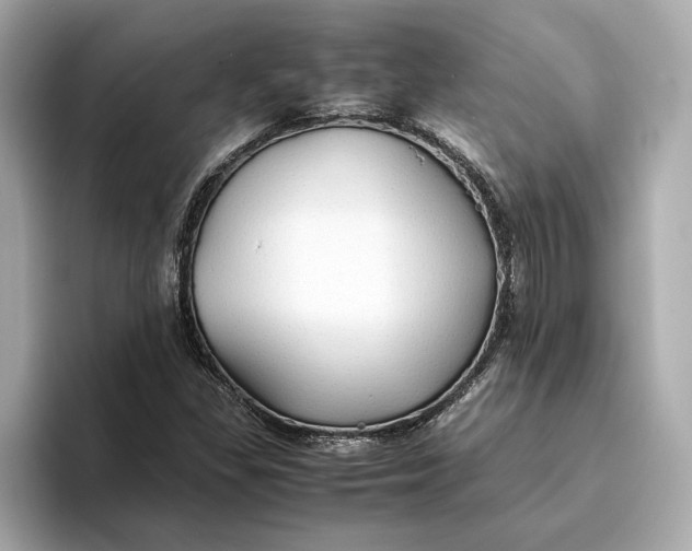 X0000093511309200711021020