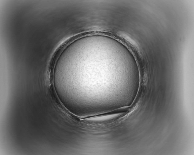 X0000093511310200711021020