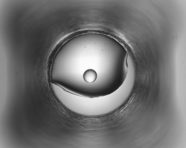 X0000093511312200711021020