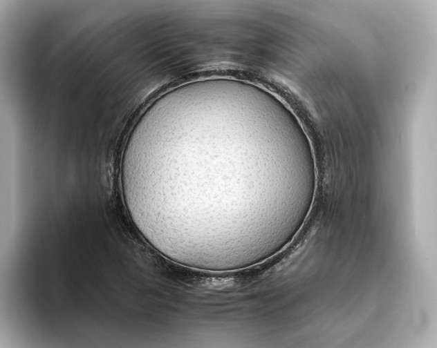 X0000093511313200711021020