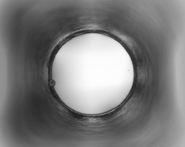 X0000093511318200711021021