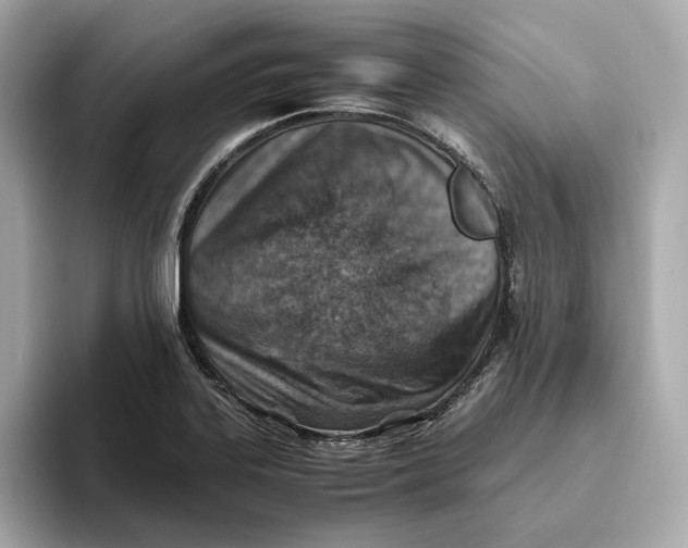 X0000093511323200711021021