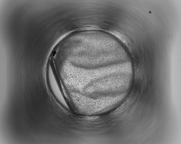 X0000093511325200711021021