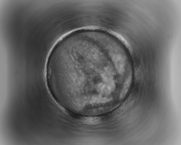 X0000093511327200711021021