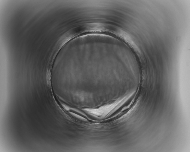 X0000093511329200711021021