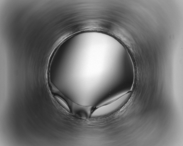 X0000093511330200711021021