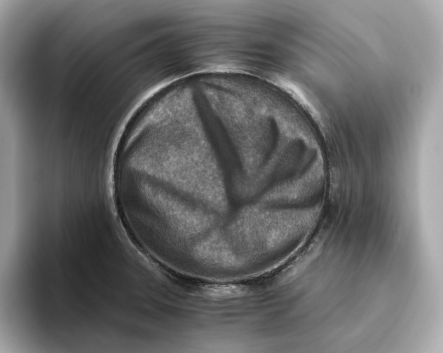 X0000093511331200711021021