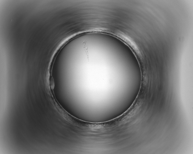 X0000093511332200711021021