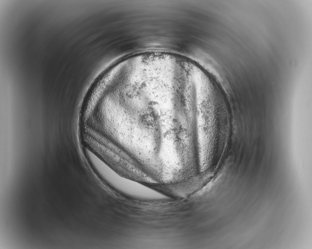 X0000093511333200711021021