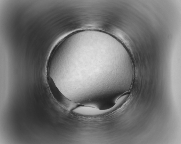 X0000093511336200711021021