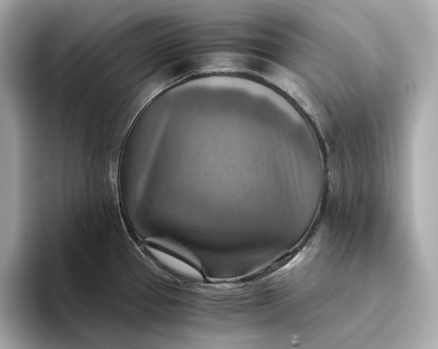 X0000093511337200711021021