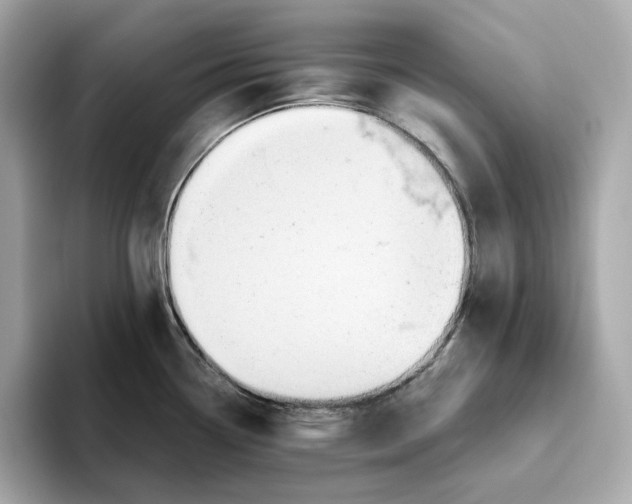 X0000093511338200711021021