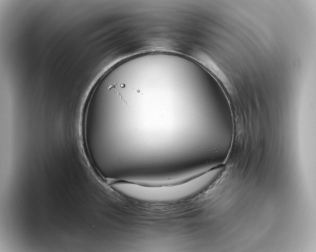 X0000093511339200711021021