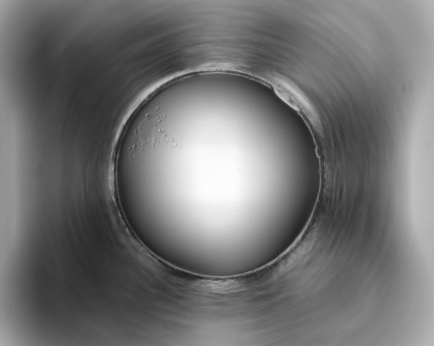 X0000093511340200711021021