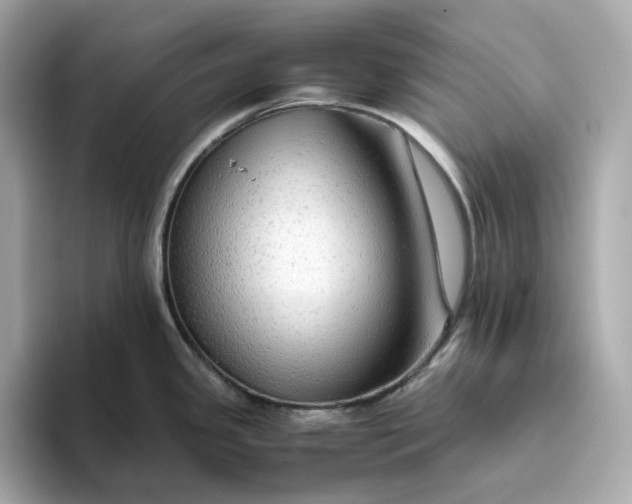 X0000093511341200711021021