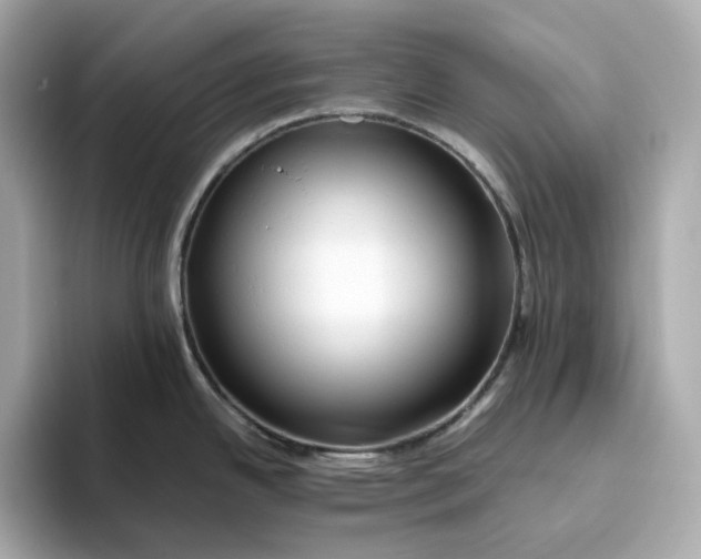 X0000093511342200711021021