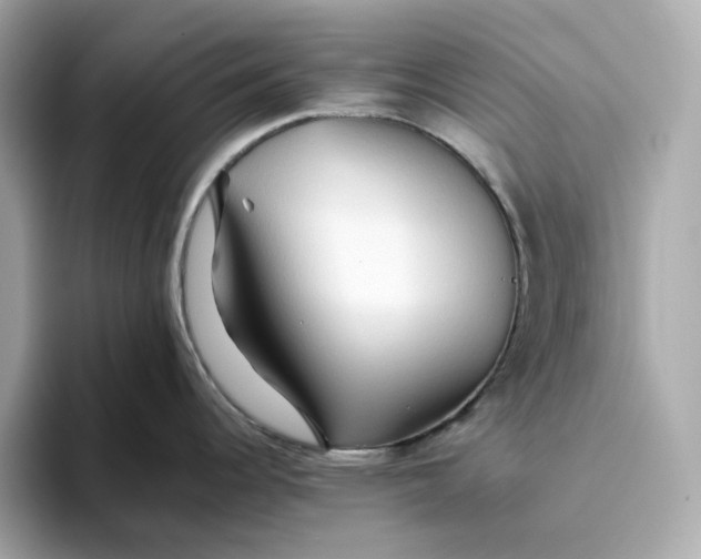 X0000093511344200711021021