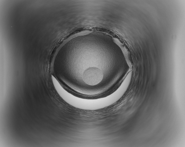 X0000093511348200711021020