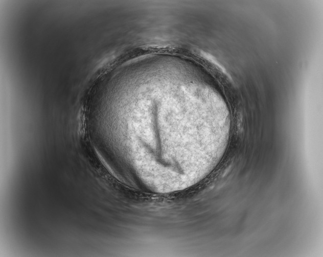 X0000093511350200711021020