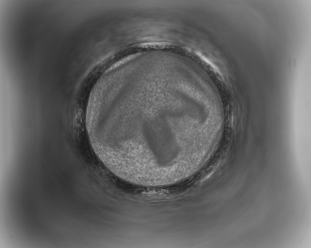 X0000093511351200711021020