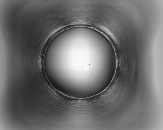 X0000093511356200711021020