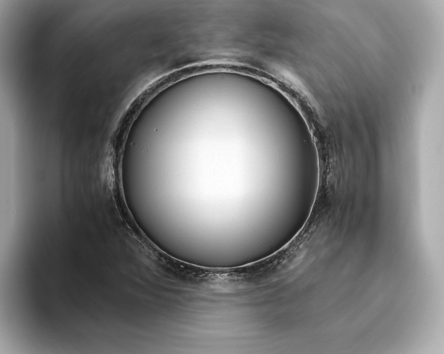 X0000093511360200711021020