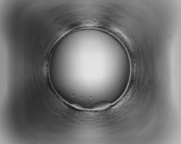 X0000093511361200711021020