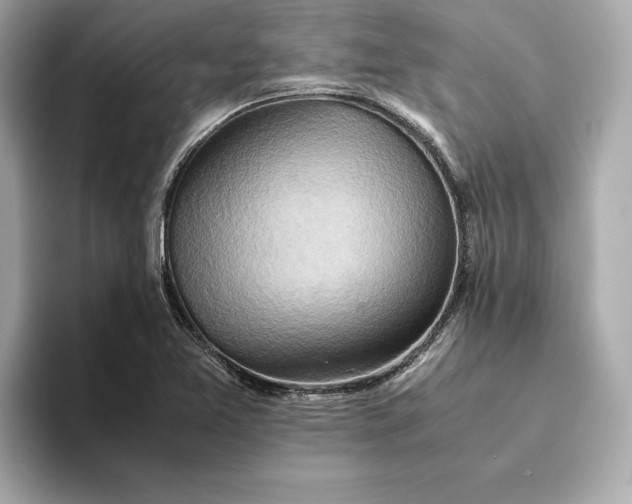 X0000093511365200711021020