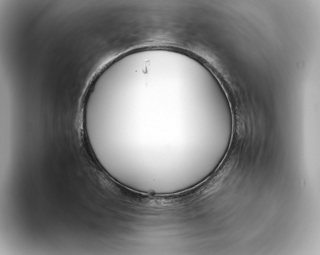 X0000093511366200711021020