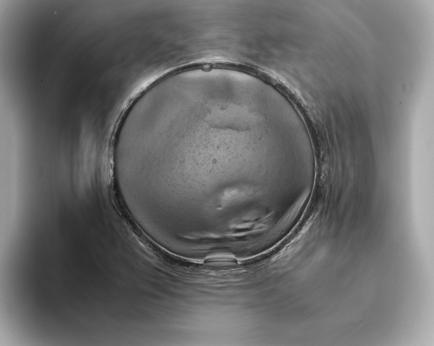 X0000093511367200711021020