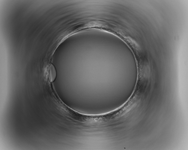 X0000093511369200711021020