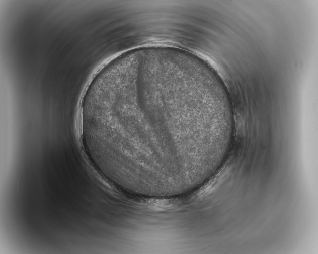 X0000093511371200711021020