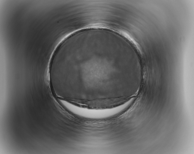 X0000093511372200711021020