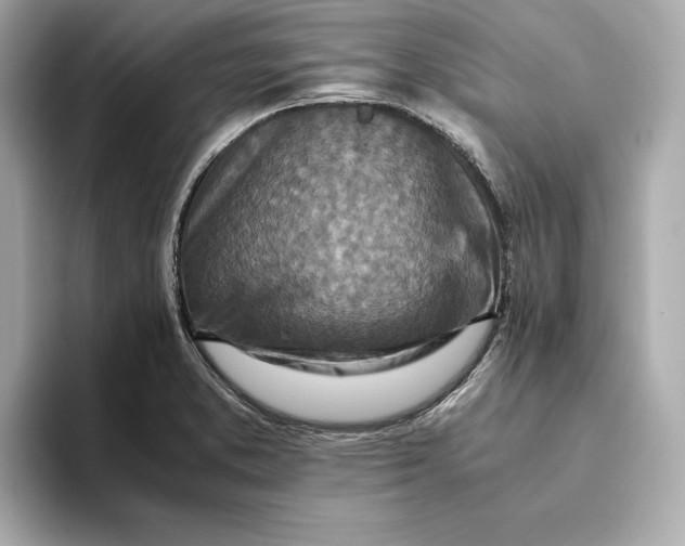 X0000093511373200711021020