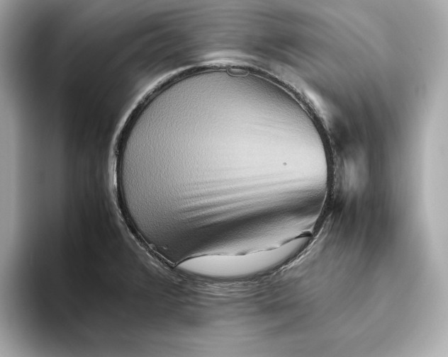 X0000093511376200711021020