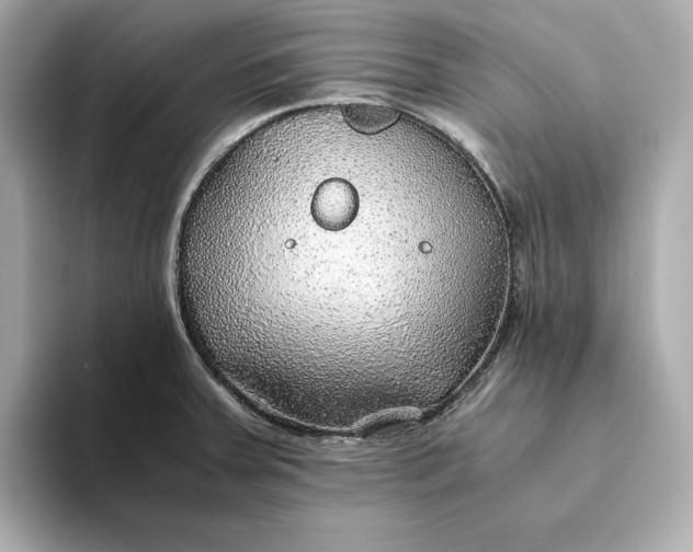 X0000093511379200711021020