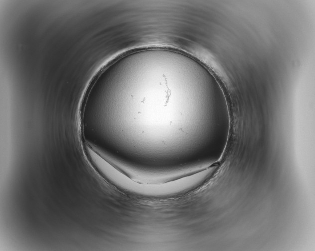 X0000093511380200711021020