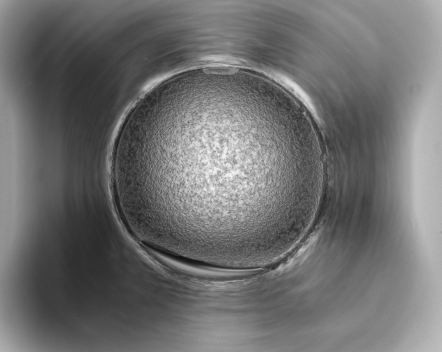 X0000093511381200711021020