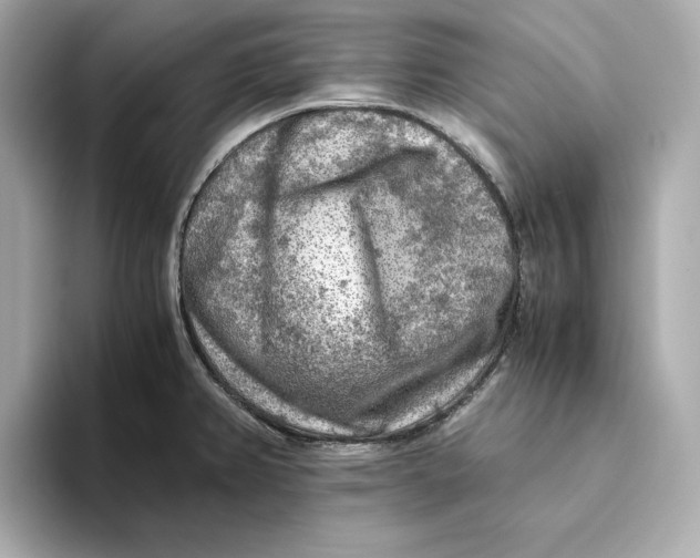 X0000093511382200711021020