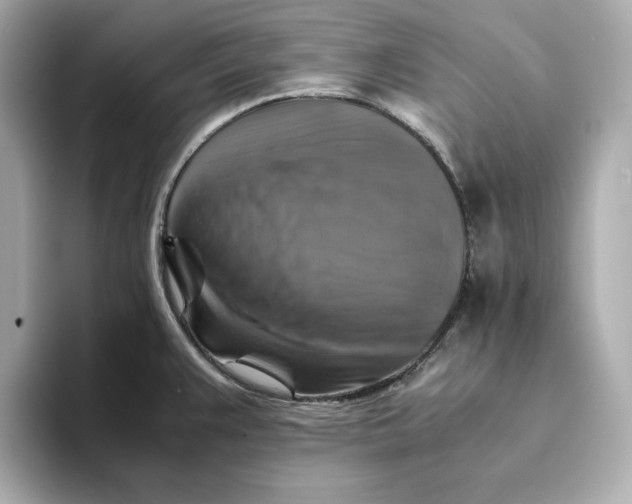 X0000093511383200711021020