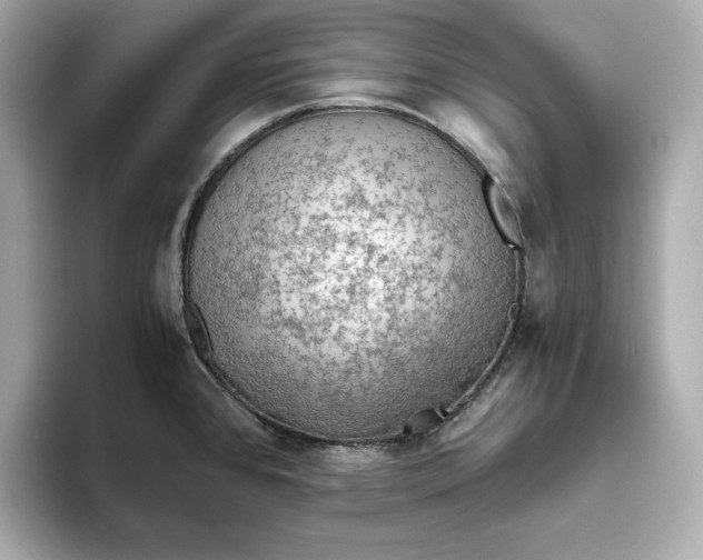 X0000093511384200711021020