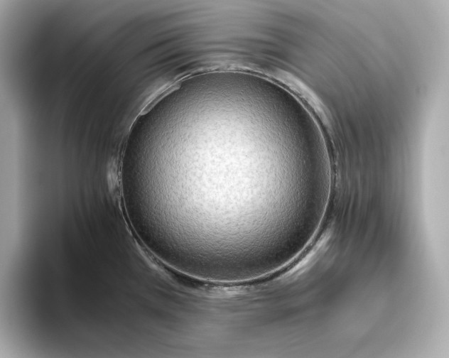 X0000093511385200711021020