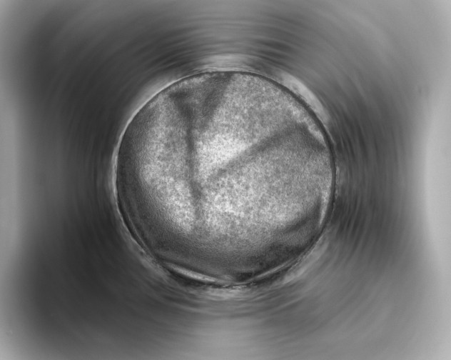 X0000093511386200711021020