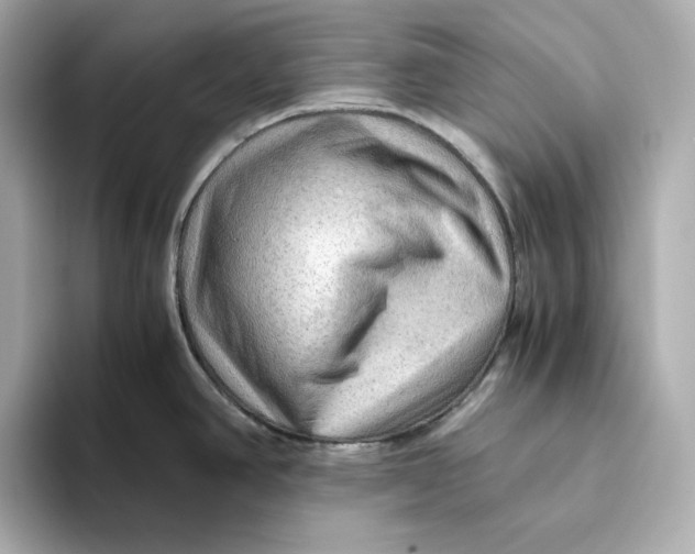 X0000093511390200711021020