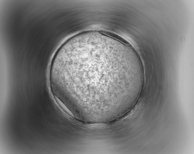 X0000093511392200711021020