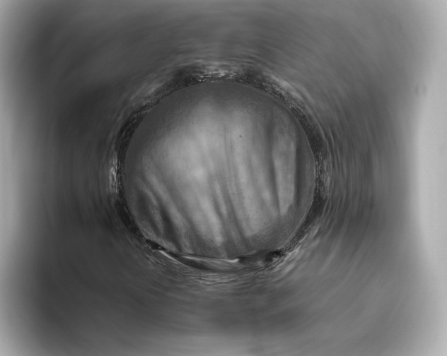 X0000093511394200711021019