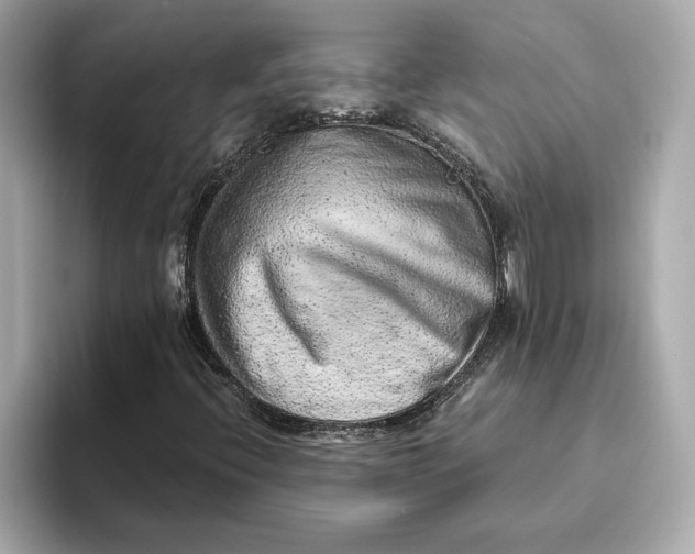 X0000093511396200711021019