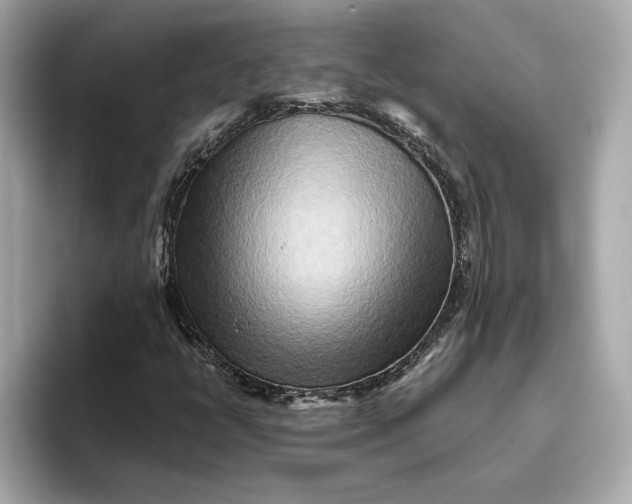 X0000093511398200711021019