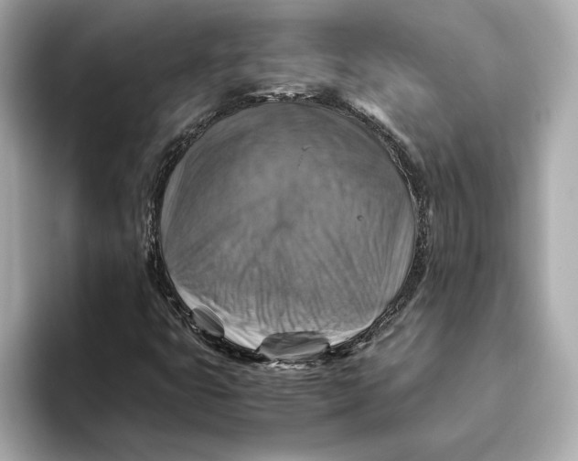 X0000093511399200711021019